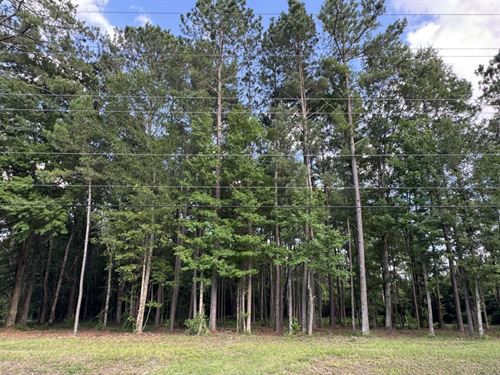 1.15 Acres Just Outside City Limits : Washington : Beaufort County : North Carolina