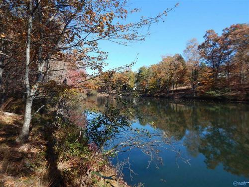 Lot 78 Lake on The Brow : Mentone : Cherokee County : Alabama