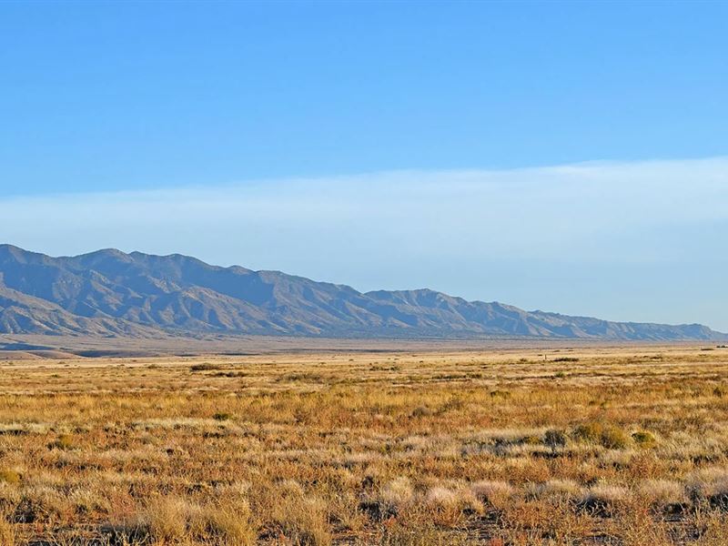 Your New Mexico Dream Starts Here : Los Lunas : Valencia County : New Mexico