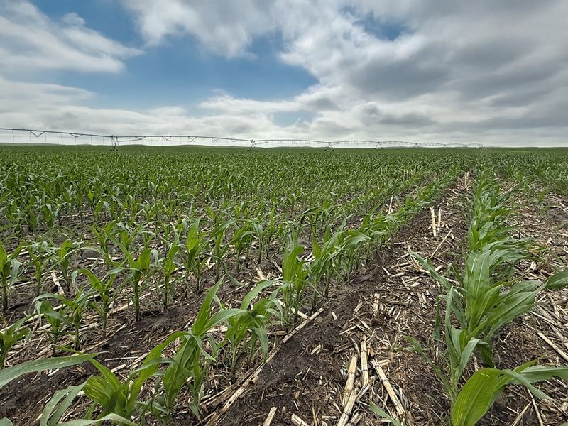 North Central Yuma County Pivot : Yuma : Yuma County : Colorado