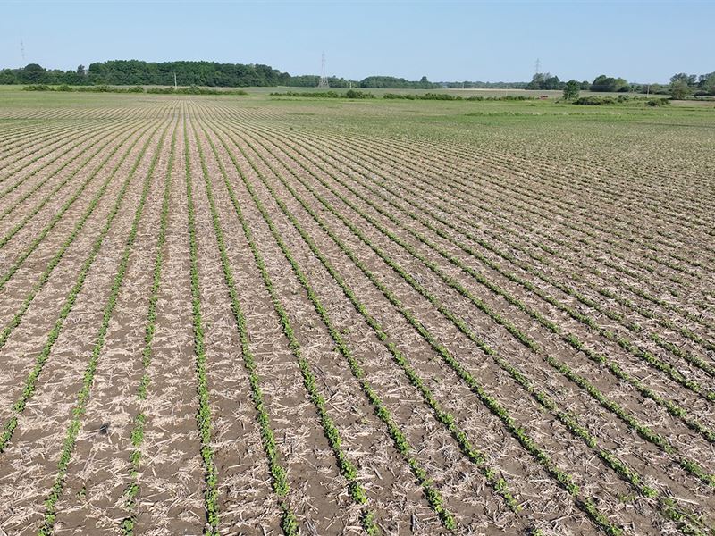 Land Auction, Allen County, In : Roanoke : Allen County : Indiana