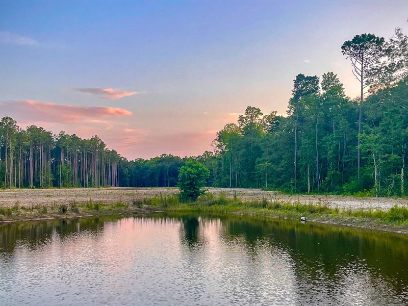 Collins Creek Plantation : McClellanville : Charleston County : South Carolina