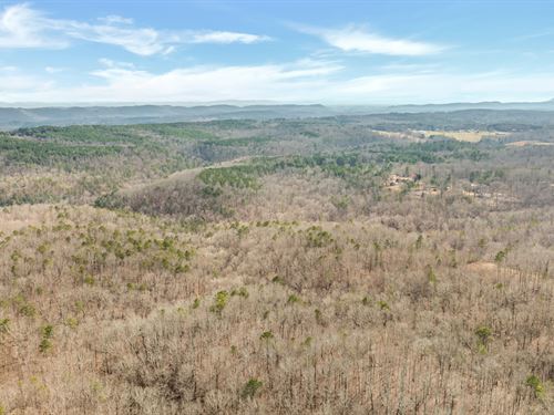 The Craft 254 : Attalla : Etowah County : Alabama