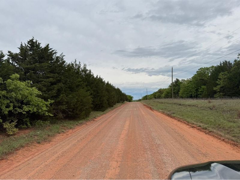 Trees and County Road Access : Stillwater : Payne County : Oklahoma