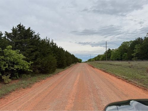 Trees and County Road Access : Stillwater : Payne County : Oklahoma