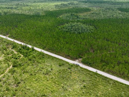 Fire Tower Pines 250 Acres : Manor : Ware County : Georgia