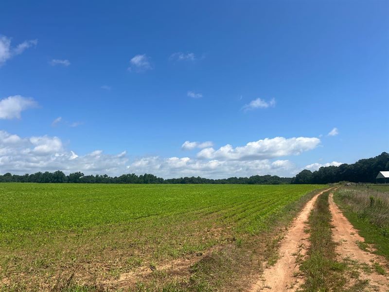 13 Forks Farm & Homesite : Elberton : Elbert County : Georgia
