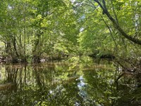 Little Ohoopee River Hunting & Timb : Wrightsville : Washington County : Georgia