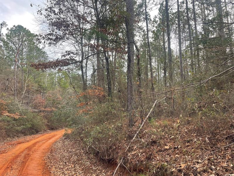 Moore Campbell 80 : Perryville : Perry County : Alabama