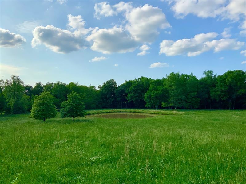 44 Acre Dream Property Minutes From : Paris : Henry County : Tennessee