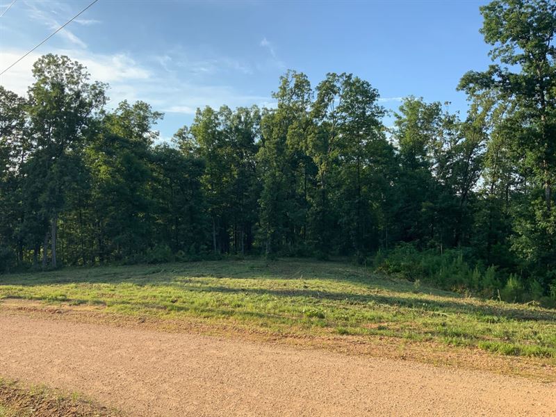 6.5 Acre Homesite Minutes From Kent : Waverly : Humphreys County : Tennessee
