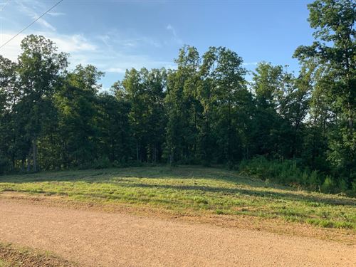 6.5 Acre Homesite Minutes From Kent : Waverly : Humphreys County : Tennessee