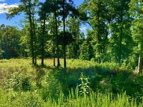 28.6 Acres in Gated Richland Harbor : Waverly : Humphreys County : Tennessee