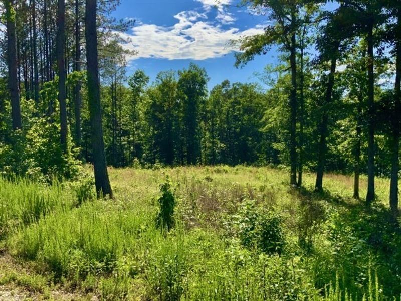 28.6 Acres in Gated Richland Harbor : Waverly : Humphreys County : Tennessee