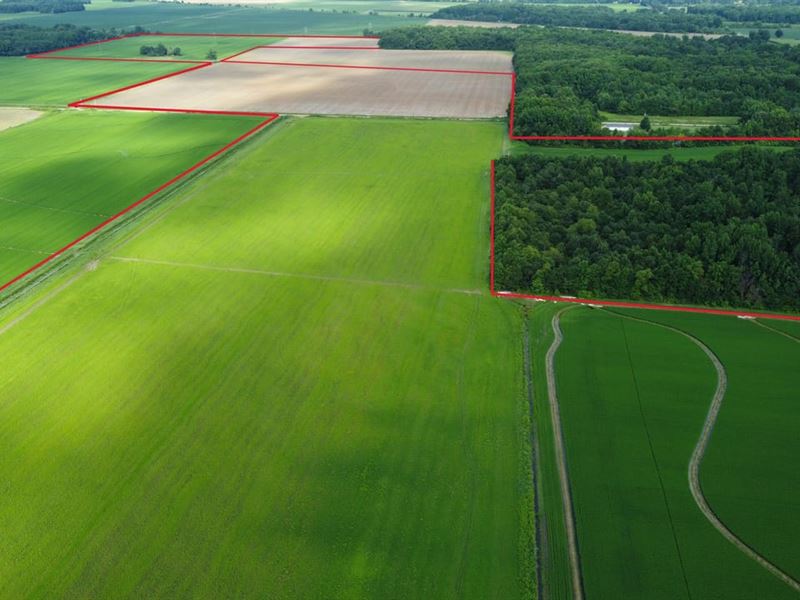 152 Acres Prime Farmland in But : Poplar Bluff : Butler County : Missouri