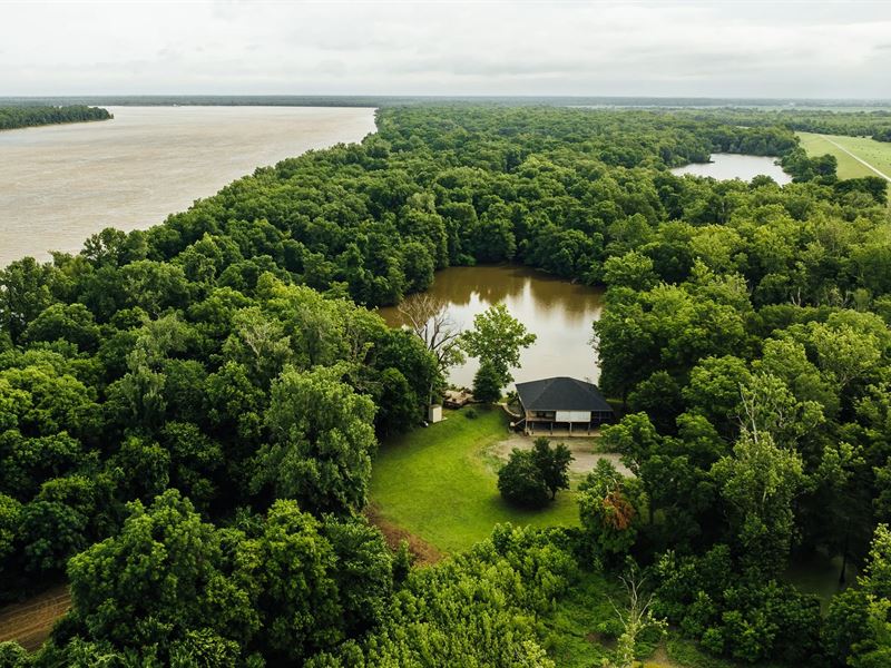 3.95 Acres with A Cabin in Bolivar : Rosedale : Bolivar County : Mississippi