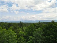 Marshall Phillips Forest : Brandon : Rutland County : Vermont