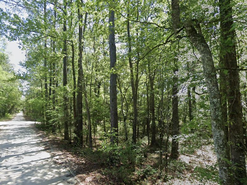 Half Acre Homesite : Live Oak : Suwannee County : Florida