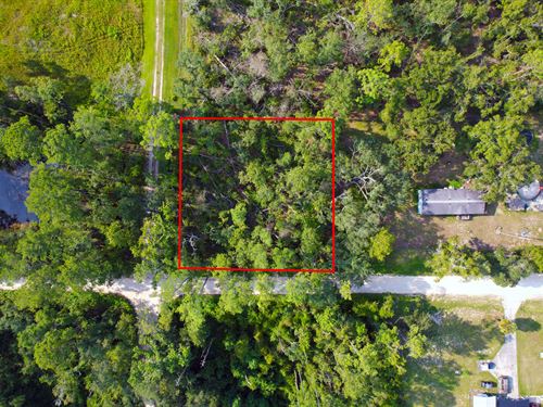 Half Acre Homesite : Live Oak : Suwannee County : Florida