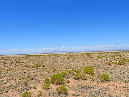 Own Affordable Land Just $50/Month : Los Lunas : Valencia County : New Mexico