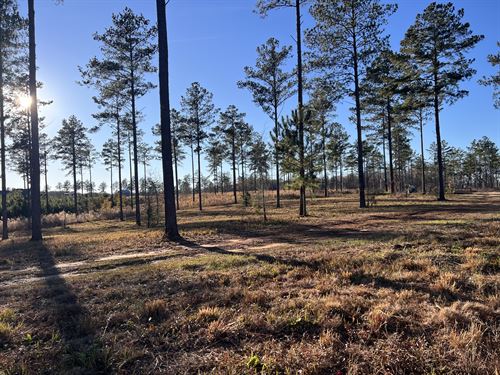 Escape to Serenity and Space : Elko : Houston County : Georgia