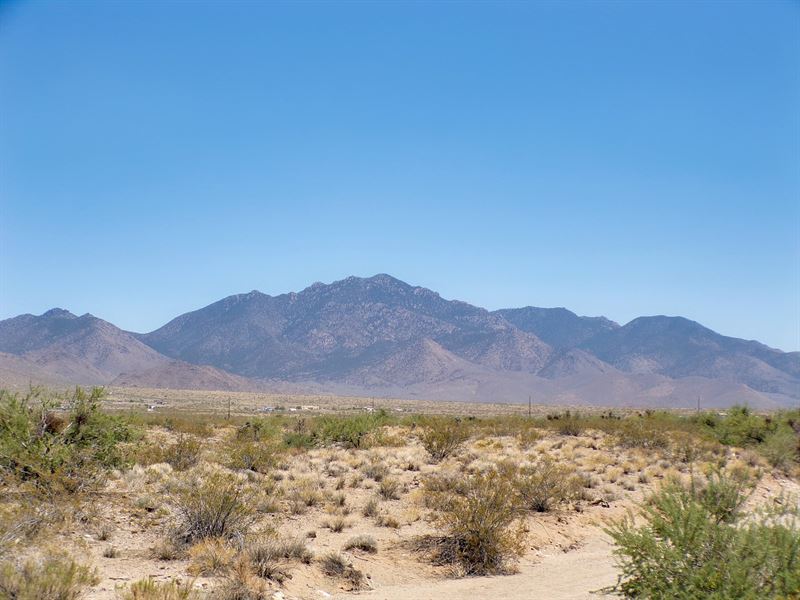 Your 1.07 Acre Arizona Sanctuary : Dolan Springs : Mohave County : Arizona
