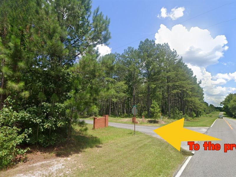 Build Anything You Want : Dublin : Laurens County : Georgia