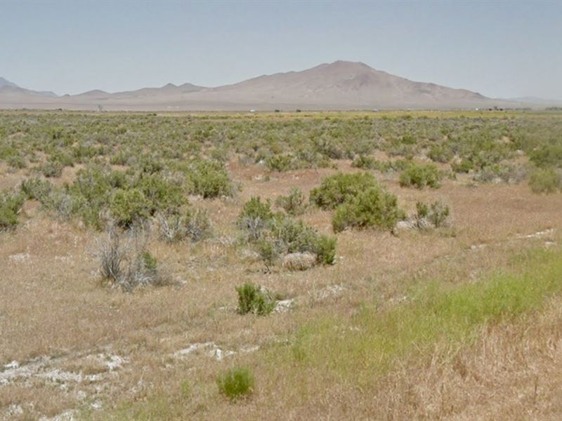 Buy Now, Beat Your Neighbor's RV : Winnemucca : Humboldt County : Nevada