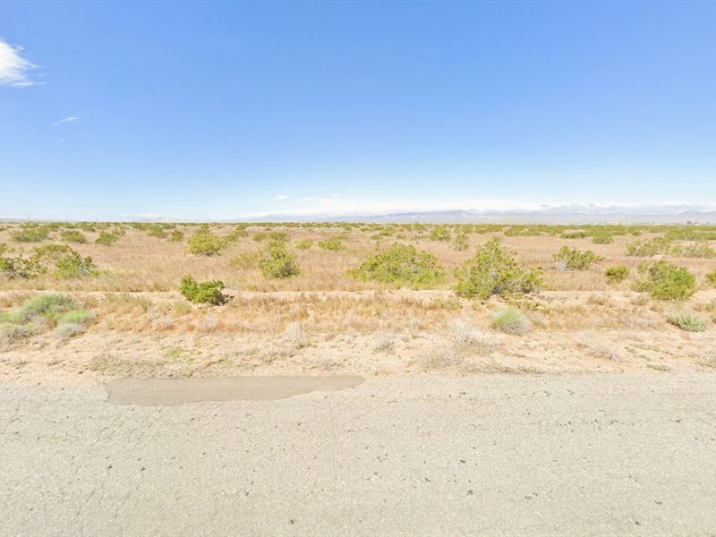 Paved Access CA Lot, $424.22/Month : California City : Kern County : California