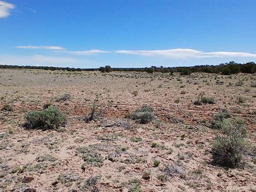 Arizona Desert 1 Acre Ultra Low Tax : Concho : Apache County : Arizona
