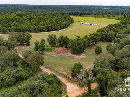 79 Ac Geneva Co, McCollough Road : Coffee Springs : Geneva County : Alabama