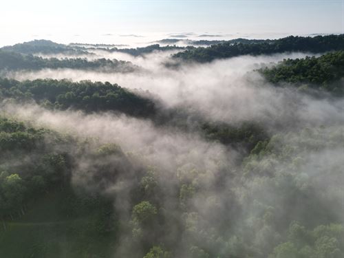 Raccoon Creek 26 : London : Laurel County : Kentucky