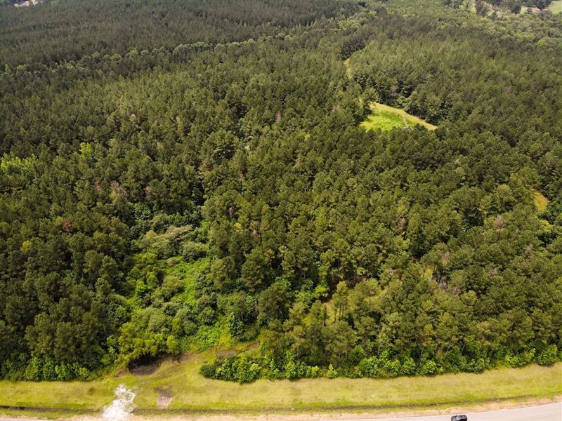Jess Lyons Road Lot 3, 8 Acres : Columbus : Lowndes County : Mississippi