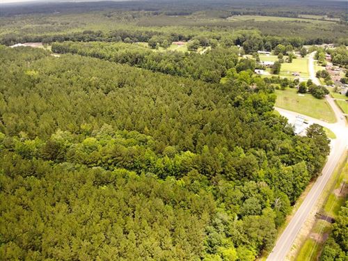Ridge Road Lot 7, 65 Acres : Columbus : Lowndes County : Mississippi