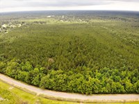 Ridge Road Lot 8, 41 Acres : Columbus : Lowndes County : Mississippi