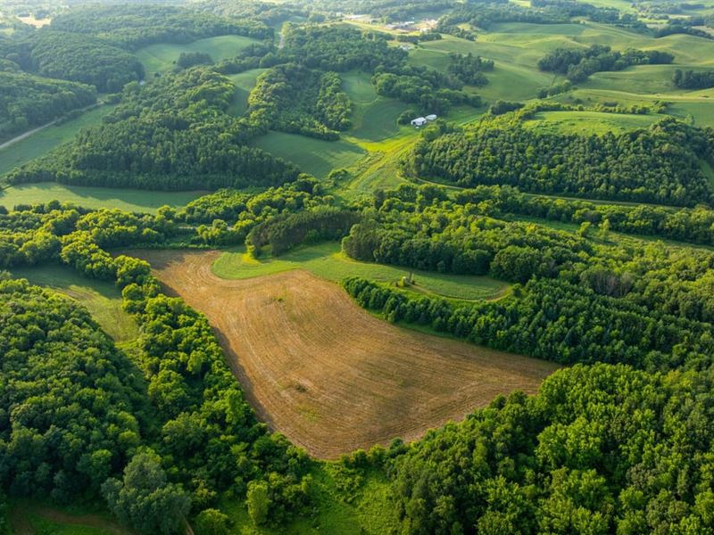 Trophy Whitetail Haven on 90 Acres : Mondovi : Buffalo County : Wisconsin