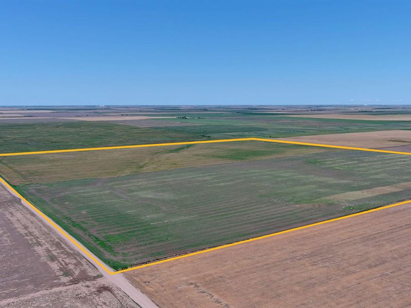 South Dailey Dryland Quarter : Fleming : Logan County : Colorado