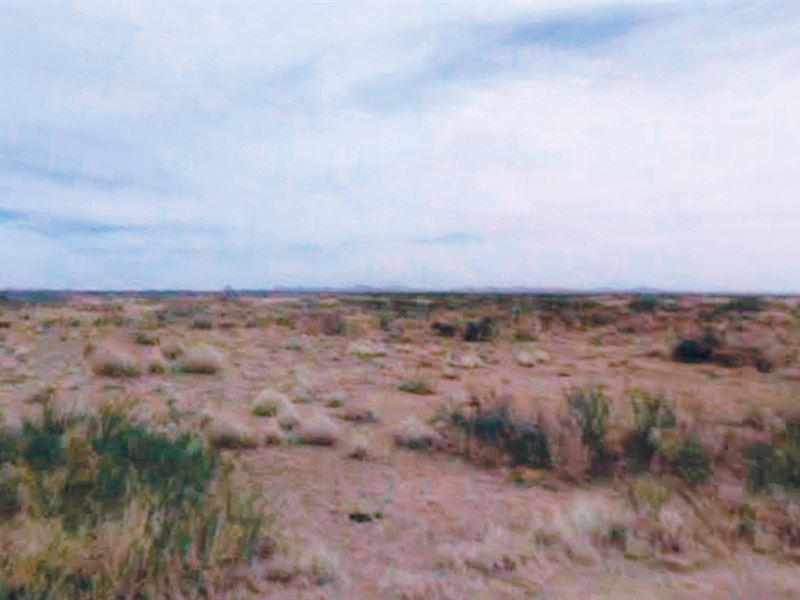 Two Adjoining Half Acre Lots : Deming : Luna County : New Mexico