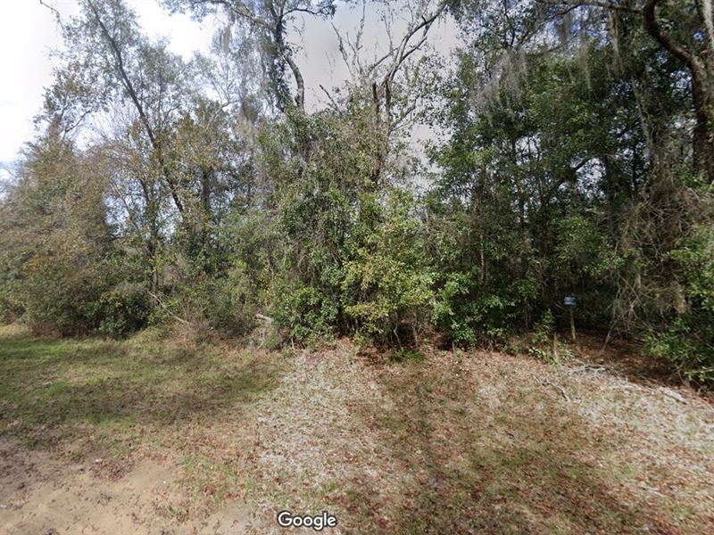 Private & Peaceful Land $249 Down : Interlachen : Putnam County : Florida