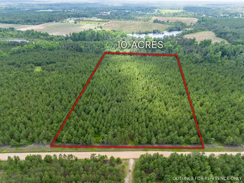 Tract 10 in Sanderling Road : Alma : Bacon County : Georgia