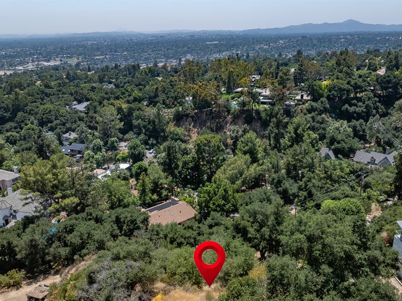 Lush Green Neighborhood Near LA : Pasadena : Los Angeles County : California
