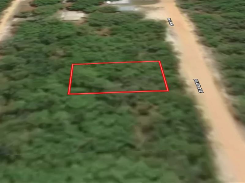 Build or Invest in FL Land : Interlachen : Putnam County : Florida