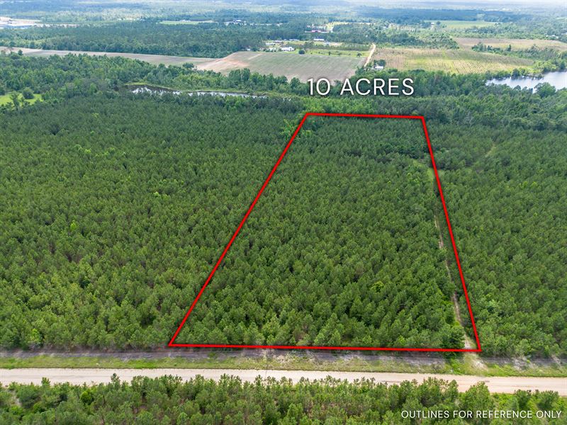 Tract 12 in Sanderling Road : Alma : Bacon County : Georgia