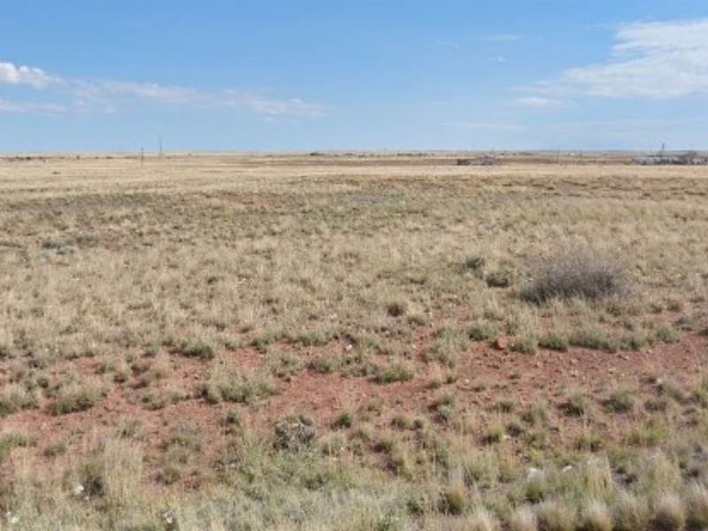 1.3 Acres, $100/Mo, July 4th : Sun Valley : Navajo County : Arizona