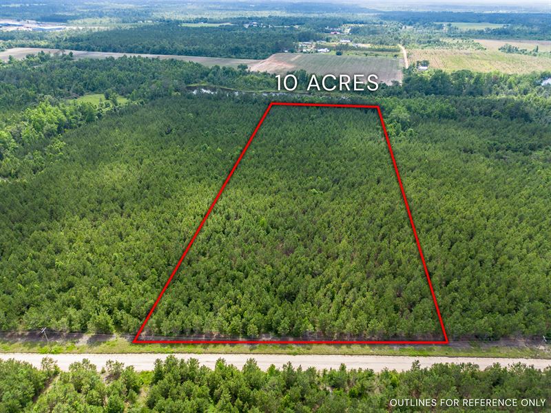 Tract 13 in Sanderling Road : Alma : Bacon County : Georgia