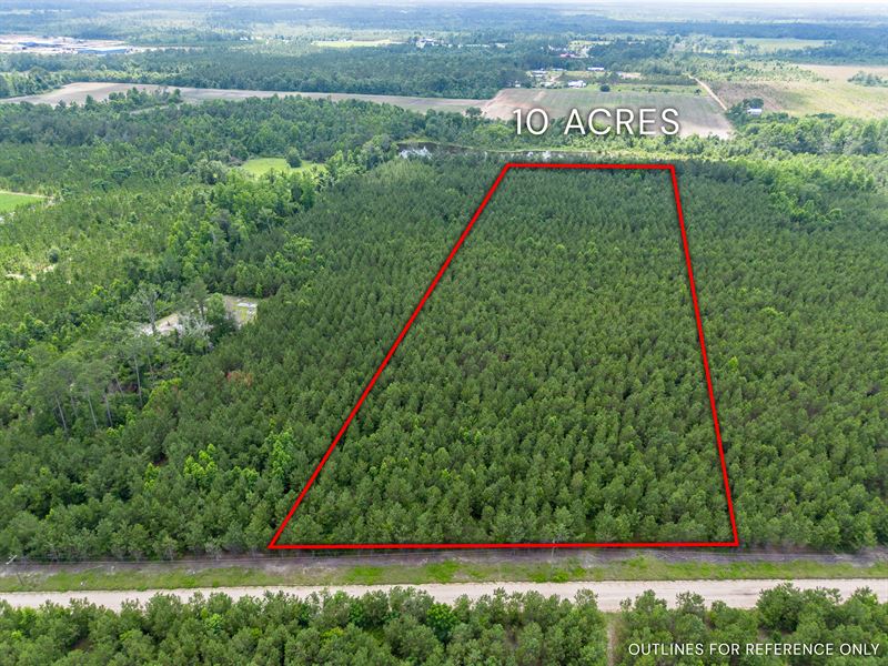 Tract 14 in Sanderling Road : Alma : Bacon County : Georgia