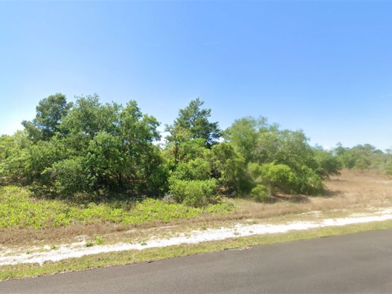 Residential Lot on Paved Road in FL : Lake Placid : Highlands County : Florida