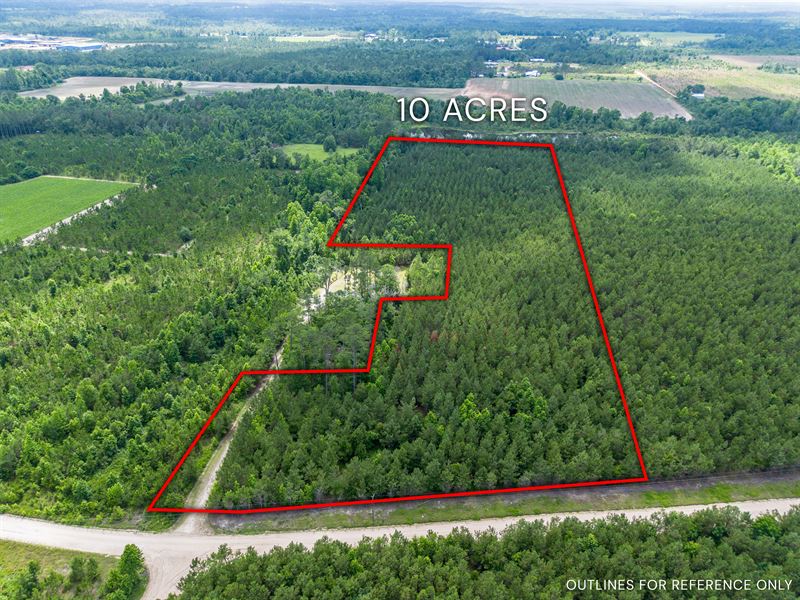 Tract 15 in Sanderling Road : Alma : Bacon County : Georgia