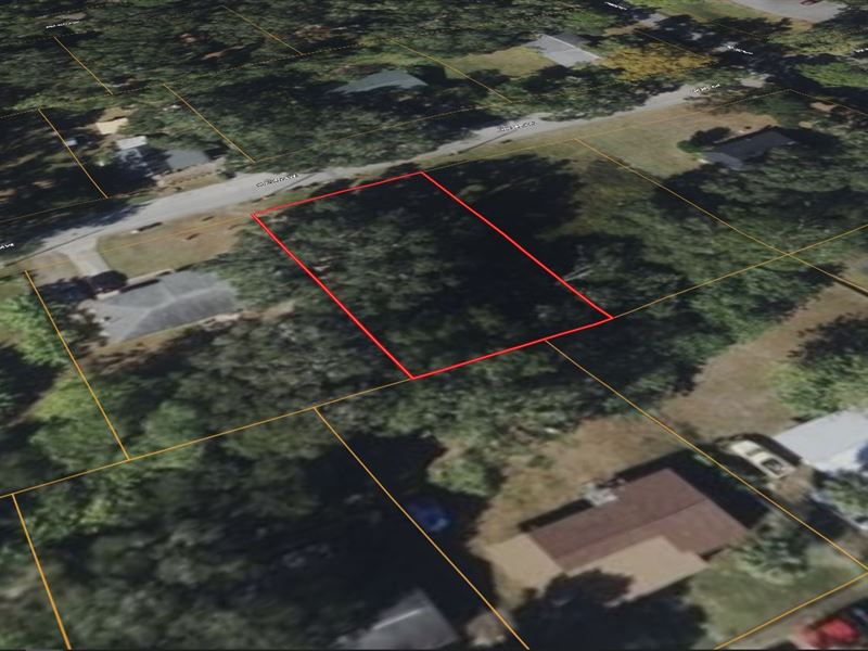 .2 Acres in Marion County FL : Ocala : Marion County : Florida
