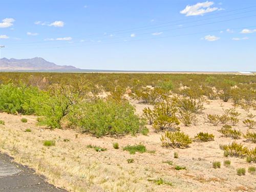 Power Poles Half a Mile Away : Deming : Luna County : New Mexico
